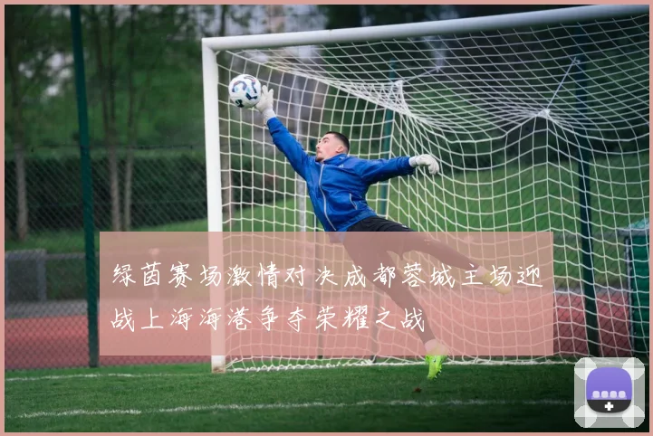 绿茵赛场激情对决成都蓉城主场迎战上海海港争夺荣耀之战