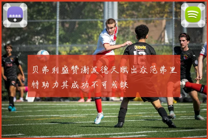 贝弗利盛赞谢泼德天赋出众范弗里特助力其成功不可或缺