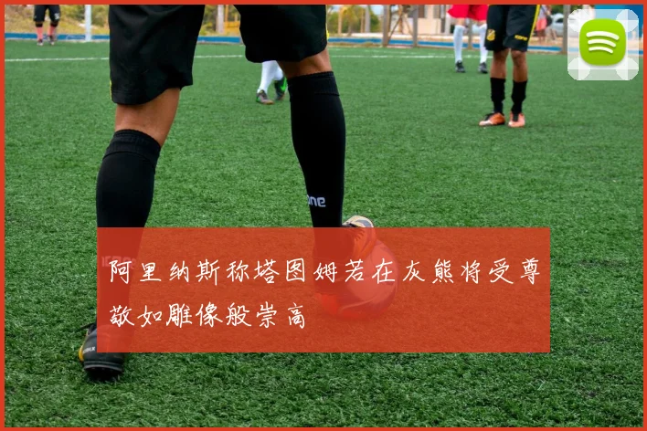 阿里纳斯称塔图姆若在灰熊将受尊敬如雕像般崇高
