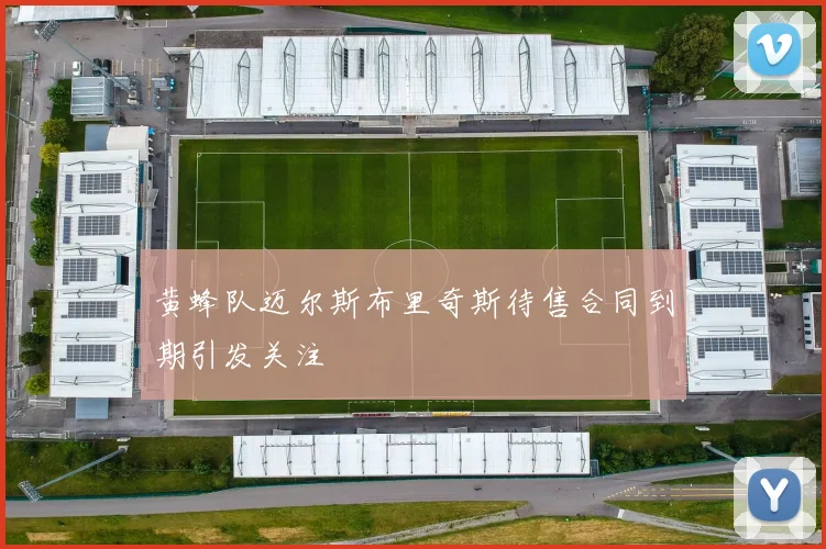 黄蜂队迈尔斯布里奇斯待售合同到期引发关注